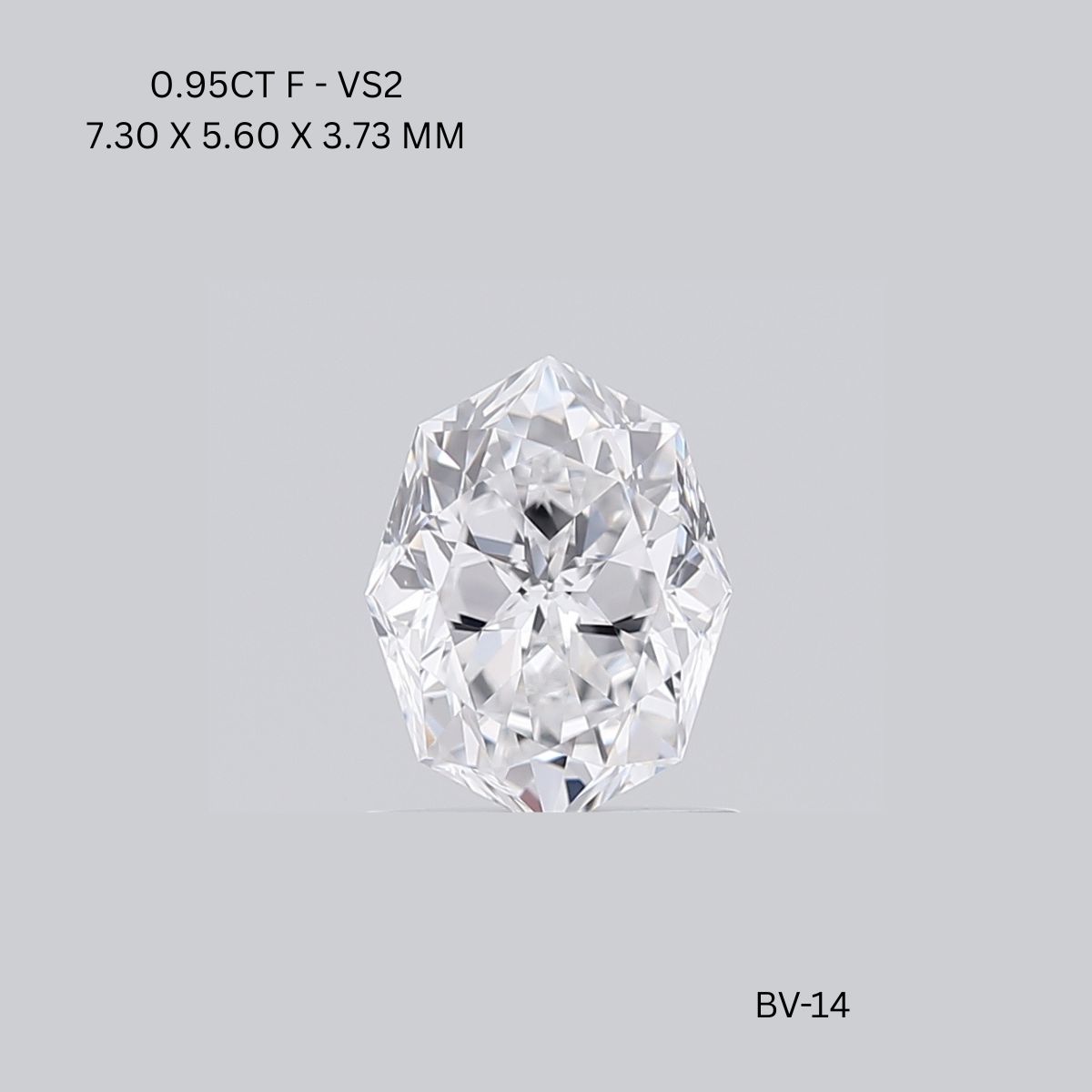 0.95 CT F VS2 OCTAGONE diamond Fancy Shape