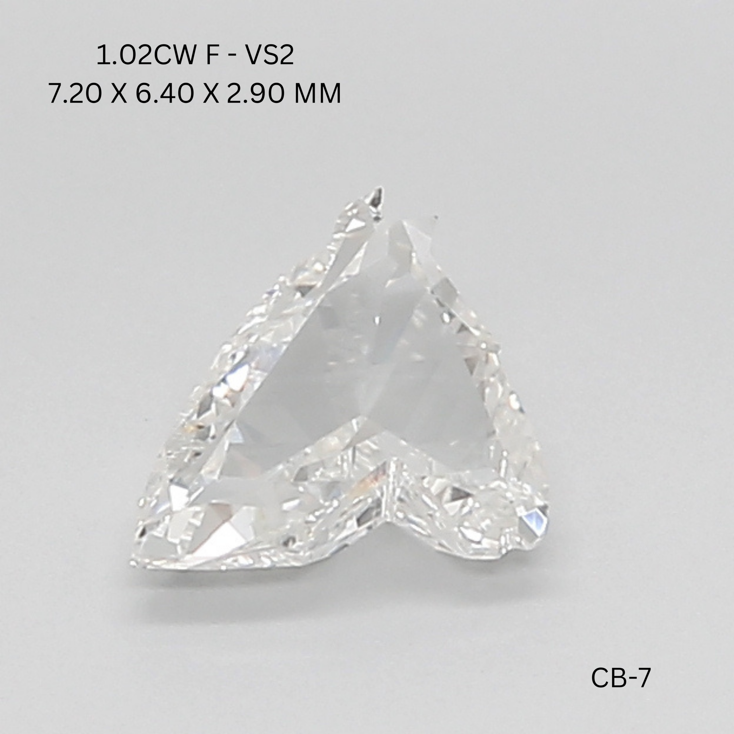 1.02 CT F VS2 HORSE diamond Fancy Shape